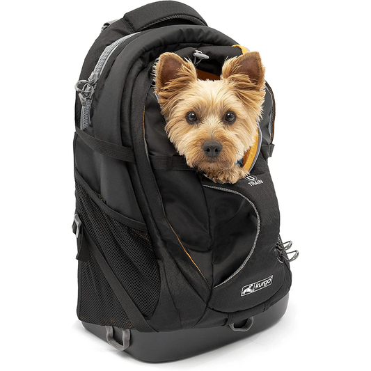 G-Train Pet Backpack – Black Rugged Travel Carrier for Small Dogs & Cats (Up to 11.3 kg) – Waterproof Base, Adventure-Ready