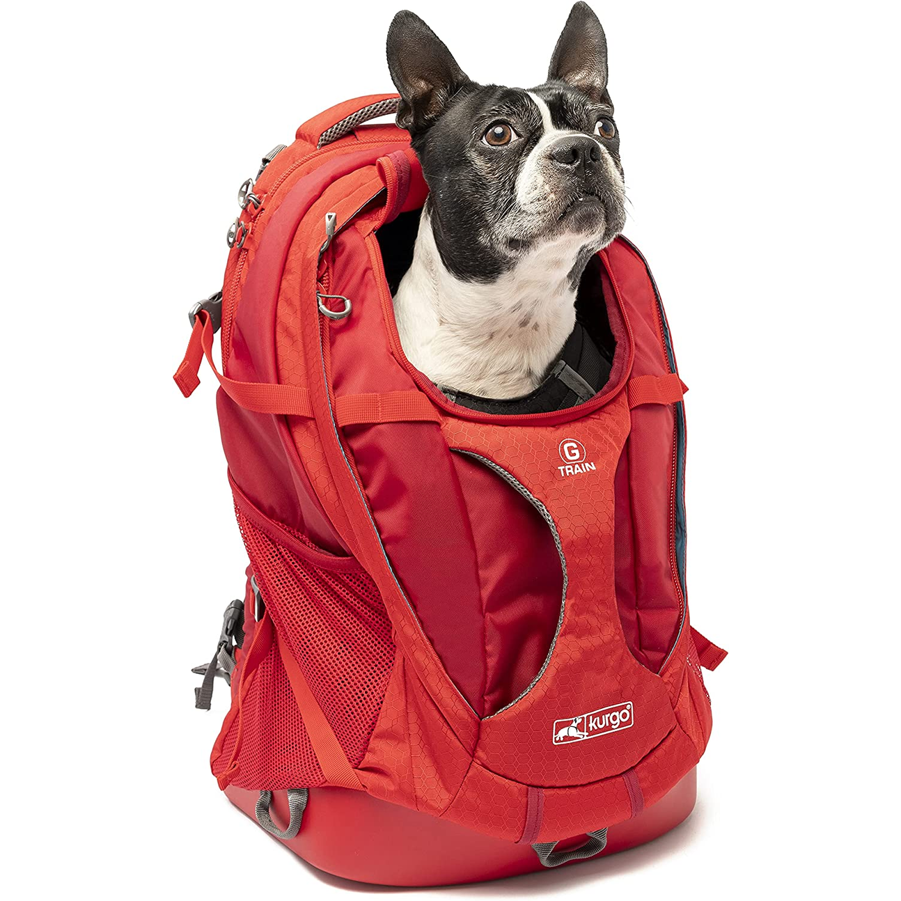G-Train Pack – Chili Red Carrier Backpack for Small Dogs & Cats | Waterproof Bottom | Ideal for Hiking, Travel, & Everyday Adventures