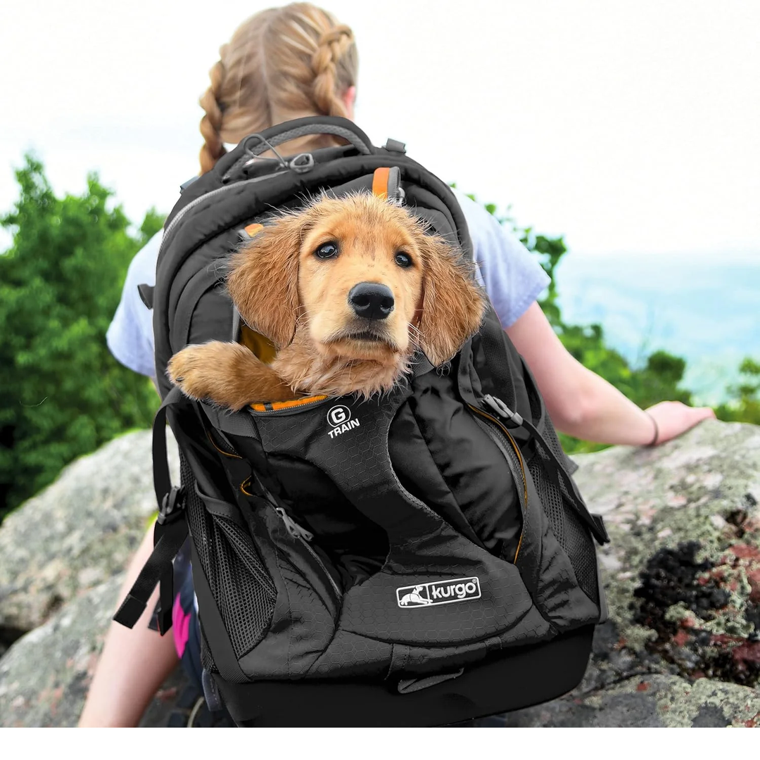 G-Train Pet Backpack – Black Rugged Travel Carrier for Small Dogs & Cats (Up to 11.3 kg) – Waterproof Base, Adventure-Ready