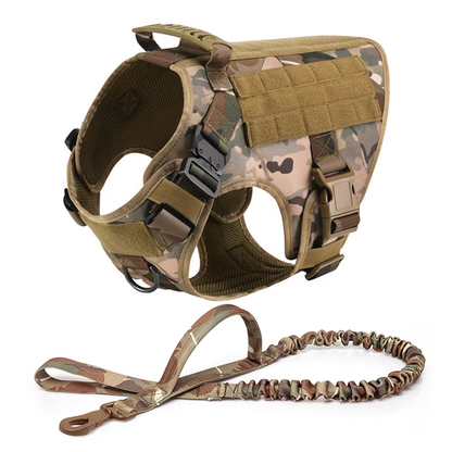 Tactical Harness Set – with Collar, Leash & MOLLE Pouches