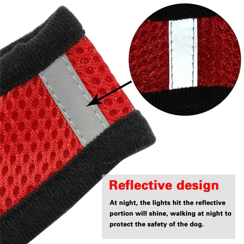 Adjustable Mesh Harness & Leash Set for Small Dogs and Cats – Breathable, Reflective, and Comfortable